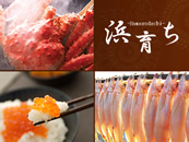 北の浜育ちセット