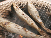 浜中産一夜干し氷下魚(コマイ)