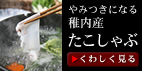 �t���Y���������