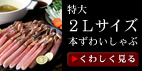 ����2�k�T�C�Y�{���킢�����