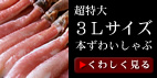 ������3�k�T�C�Y�{���킢�����