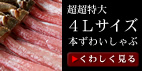 ��������4�k�T�C�Y�{���킢�����