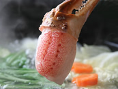 本ずわいがに蟹ツメ