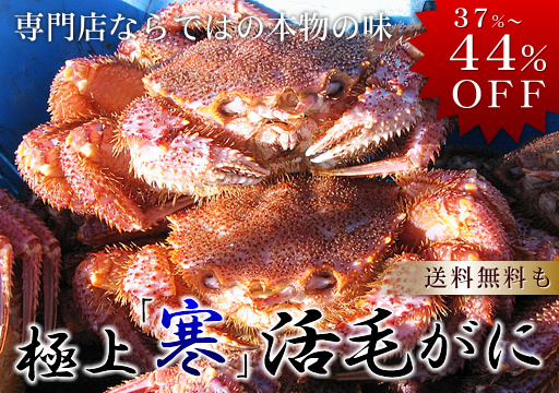 �u�I�̏��v���I�u���v���т���