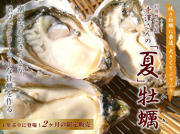 北海道釧路町の夏カキお取り寄せ通販