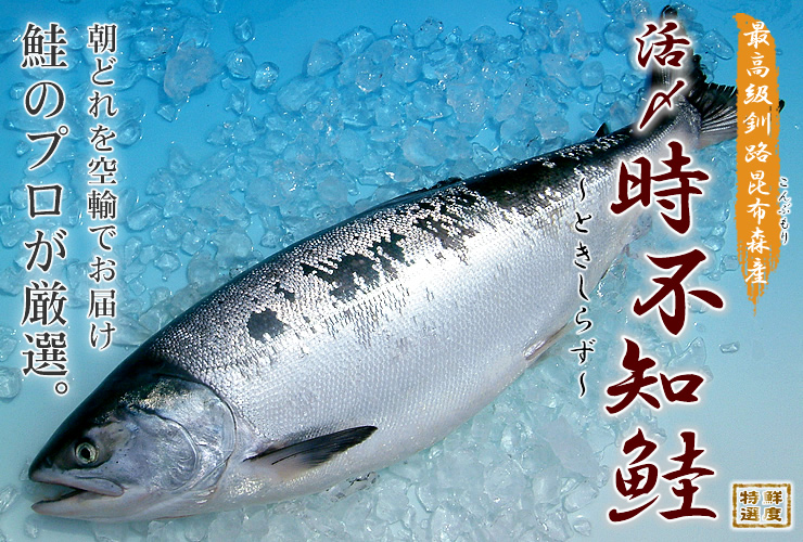 北海道釧路産シャケお取り寄せ通販