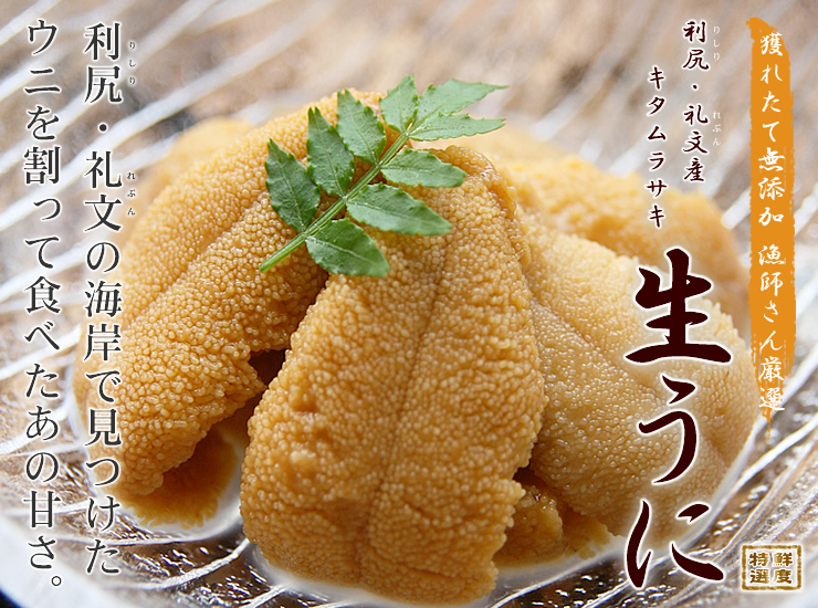北海道産直のキタムラサキウニ格安通販サイト