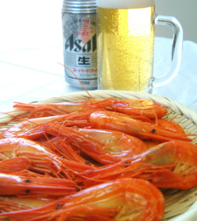 ���͂U���`�V���A10���`11���̔N2��̂݁B