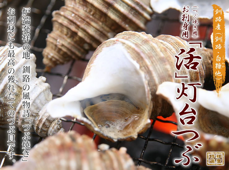 北海道釧路産「活」灯台つぶ（お刺身用・つぶ焼き用）