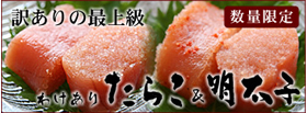 �Ɩ��p�󂠂肽�炱���h�q�����q