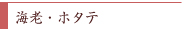 �C�V�E�z�^�e