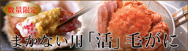 �܂��Ȃ��p�u���v�т���
