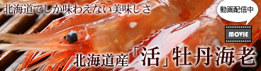 �k�C���Y�u�����O�C�V�v