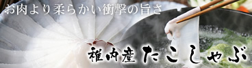 �t���Y���������