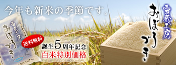 �k�C�����S�Y���ڂ�Â��i�ᑠ�H�[�j