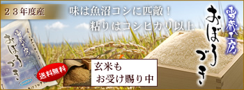 �k�C�����S�Y�u�ᑠ�H�[�v������Â�
