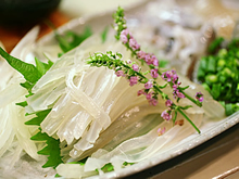 函館直送!朝いか・活いか(真イカ)