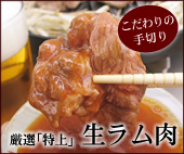 ���I�u����v��������