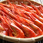 �l���Y�k�C�V�}�G�r