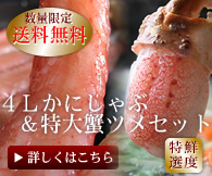 �y���������z��������4�k�����&����I�c���Z�b�g