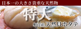��t�Y�V�R�u����L�t�z�^�e�v