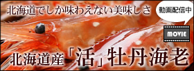 �k�C���Y�u���v���O�C�V