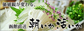 ���ْ����I�������E������