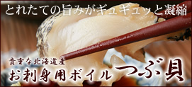 �k�C���Y���h�g�p�{�C���ԊL