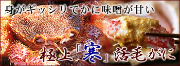 �ɏ�u���v���т���
