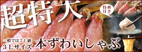 超特大！本ずわいしゃぶ