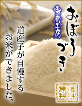 �k�C�����S�Y�u���ڂ�Â��v