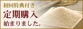 �k�C�����S�Y�u���ڂ�Â��v�@����w��