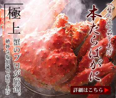 䥂ŏグ�{�^���o�K�j