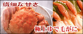 �I�J�j�ʔ́@�уJ�j