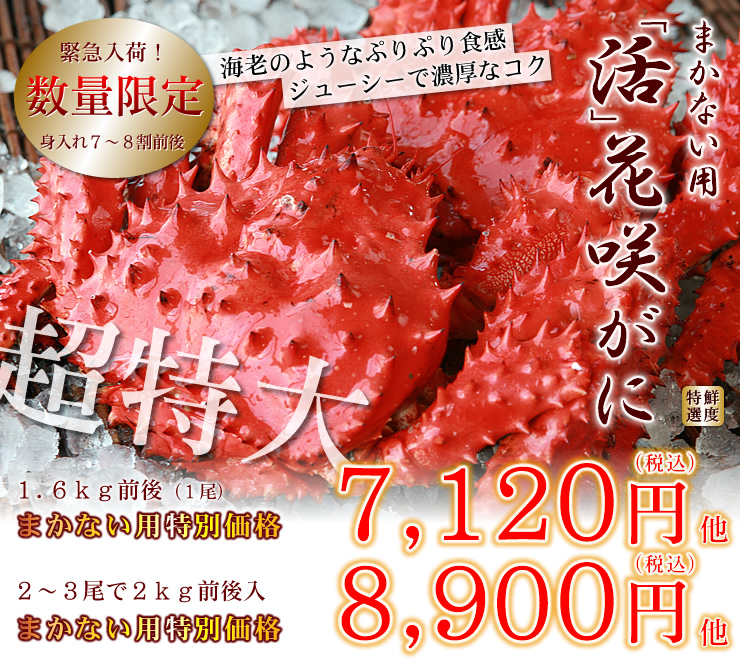 【数量限定】まかない用「活」花咲ガニ 