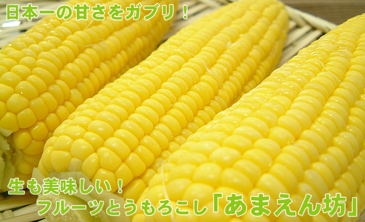 北海道農作物トウキビの激安おとりよせ通販