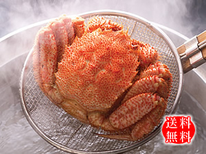 茹で上げ毛がに
