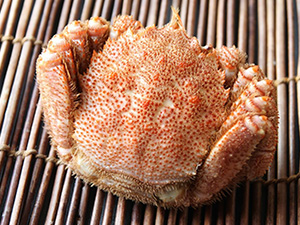 「蟹の匠」茹で毛ガニ