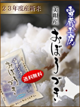 kCSYuᑠH[vڂÂ