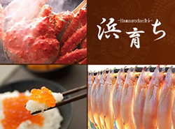 北の浜育ちセット