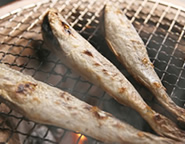 浜中産一夜干し氷下魚(コマイ)