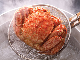 uȈv䥂ŏグIт