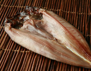ō銱ȃzbP