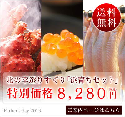 l炿Zbg
