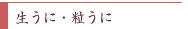 ɁE
