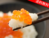 kY葢肢ݖ