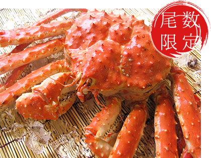 �܂��Ȃ��p䥂ŏグ�{�^���o�K�j