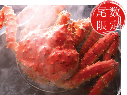 䥂ŏグ�{�^���o�K�j