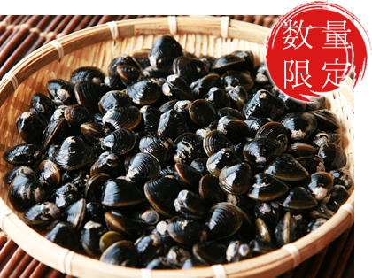 �k�C���ԑ��Y�V�R������