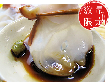 �k�C���Y���h�g�p���^�R